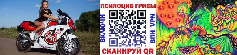 Псилоцибиновые грибы Cubensis Богучар